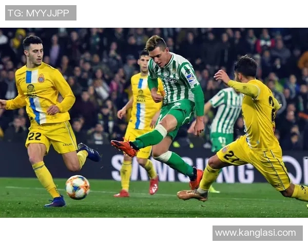 荷甲精彩对决乌德勒支主场迎战海牙全力争胜展现实力